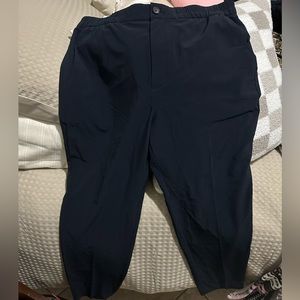 Banana Republic Stretch Pants